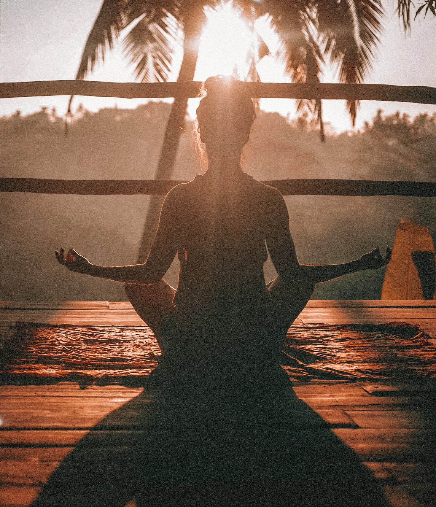 The Healing Power Of Mindful Presence