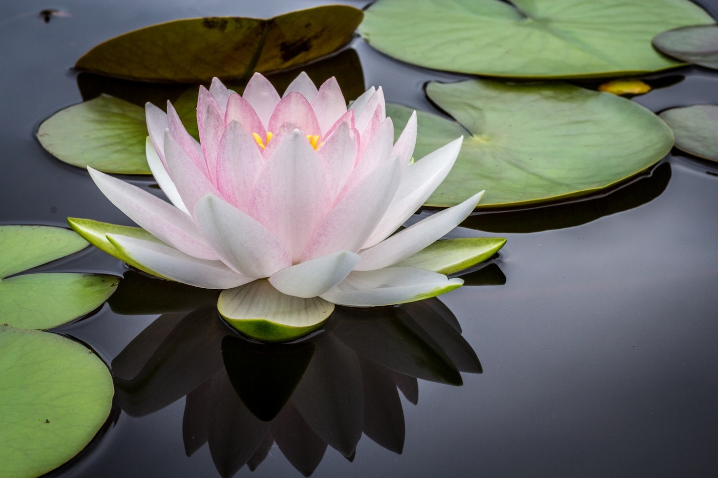 Navigating Transitions Through Spiritual Wisdom