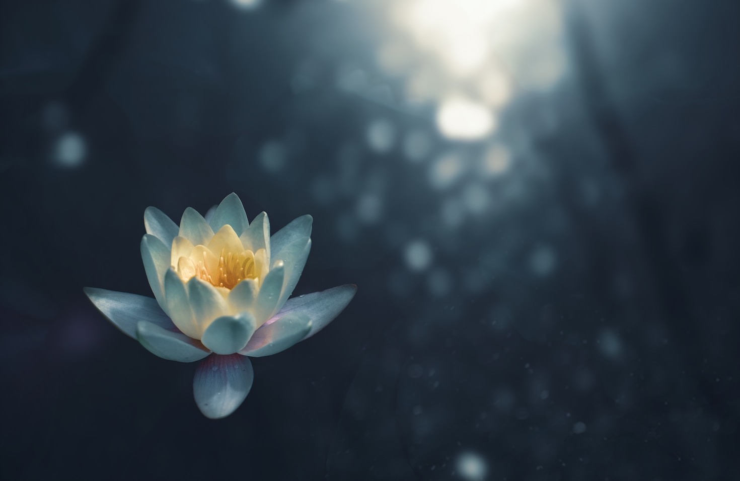 Integrating Psychology And Spirituality For Wellness
